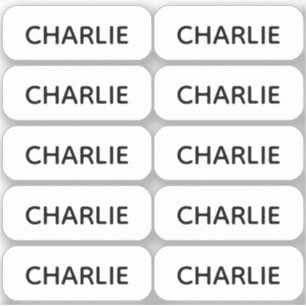 Set van 10 Eenvoudige Kleine Naamlabels Afgeronde  Sticker