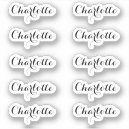 Set van 10 | Kleine elegante scriptnaam Sticker