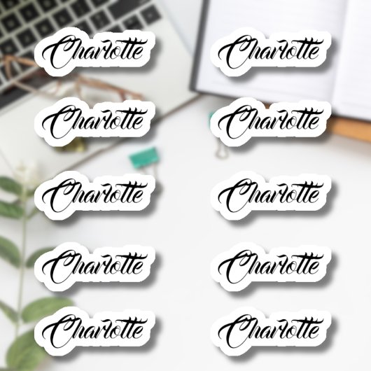 Set van 10 | Kleine elegante scriptnaam Sticker