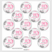 set van 13 meisjes roze grijze voetbalploegen sticker (Vel)