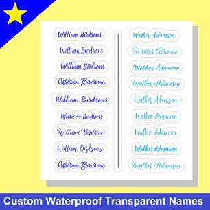 (Set van 18) Blauwe Transparante Eenvoudige Naamst Sticker