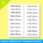 (Set van 18) Transparante Eenvoudige Naam Stickers