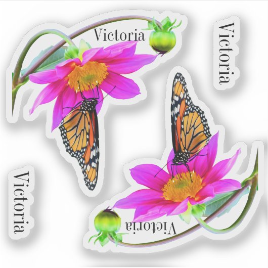 Set van 2 Monarch Vlinders Dahlia Vinyl Stickers (Voorkant)