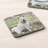 Set van 6 Cork Terug Onderzetters Wit Akita (Linkerzijde)