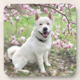 Set van 6 Cork Terug Onderzetters Wit Akita