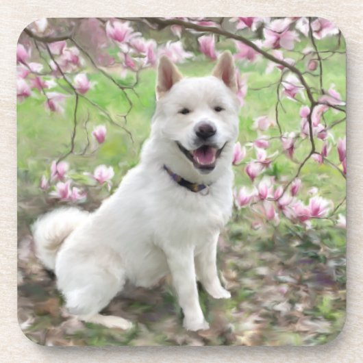 Set van 6 Cork Terug Onderzetters Wit Akita (Voorkant)