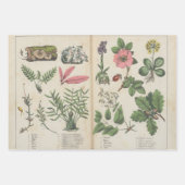 Set van drie antiek botanische kunst print inpakpapier vel (Voorkant 2)