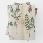 Set van drie antiek botanische kunst print inpakpapier vel (In situ)