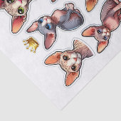 Set van haarloze Sphynx Katten en Kronen Tissuepapier (Detail)