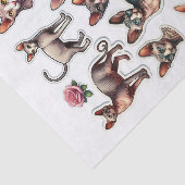 Set van haarloze Sphynx katten Tissuepapier (Detail)