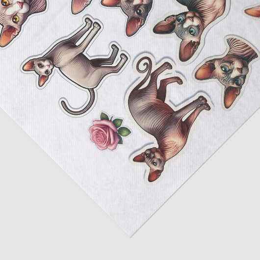 Set van haarloze Sphynx katten Tissuepapier (Detail)