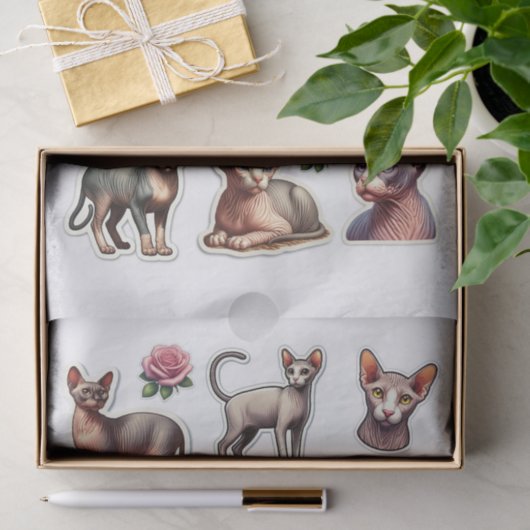 Set van haarloze Sphynx katten Tissuepapier (Geschenk)