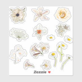Set van rozen en tuinbloemen elementen. sticker