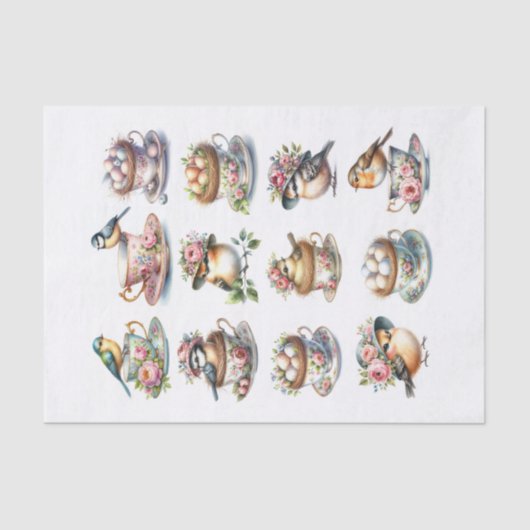 Set van Schattigee Vogels met Petten Zittend in Te Tissuepapier (Voorkant)