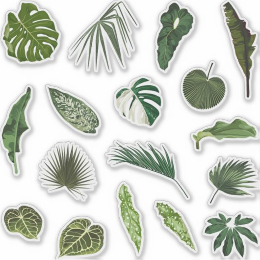 Set van stickers en iconen van tropische palmblade (Voorkant)