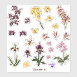 Set van tropische orchideeën bloemen elementen. sticker