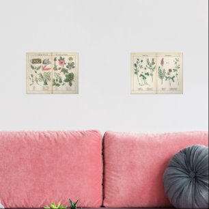 Set van twee reproductie Antiek Wildflower Prints