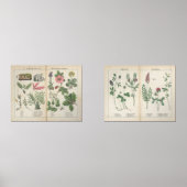 Set van twee reproductie Antiek Wildflower Prints (Voorkant)