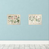 Set van twee reproductie Antiek Wildflower Prints (Houten vloer)