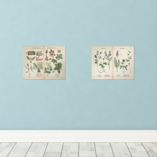 Set van twee reproductie Antiek Wildflower Prints (Houten vloer)