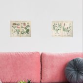 Set van twee reproductie Antiek Wildflower Prints (Woonkamer)