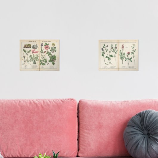 Set van twee reproductie Antiek Wildflower Prints (Woonkamer)