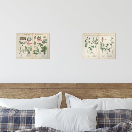Set van twee reproductie Antiek Wildflower Prints (Slaapkamer)