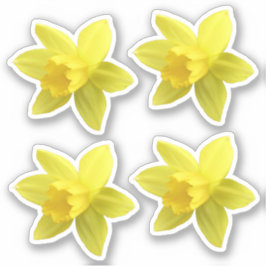 Set van vier gele Daffodil Blooms Sticker