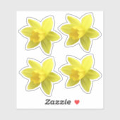 Set van vier gele Daffodil Blooms Sticker (Vel)