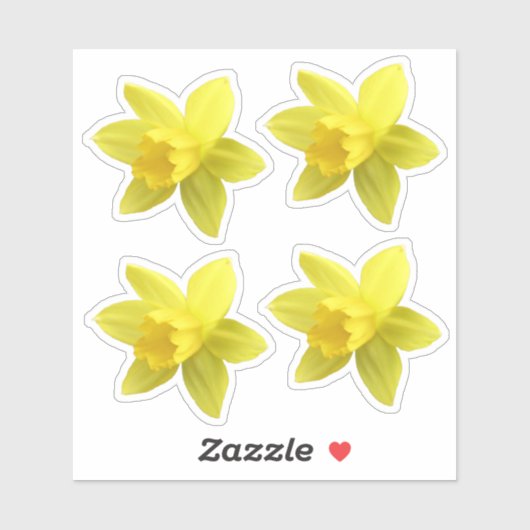 Set van vier gele Daffodil Blooms Sticker (Vel)