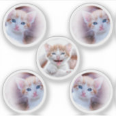 Set van vijf cirkelvormfoto's sticker (Voorkant)