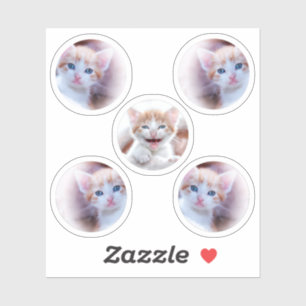 Set van vijf cirkelvormfoto's sticker