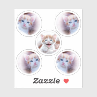 Set van vijf cirkelvormfoto's sticker