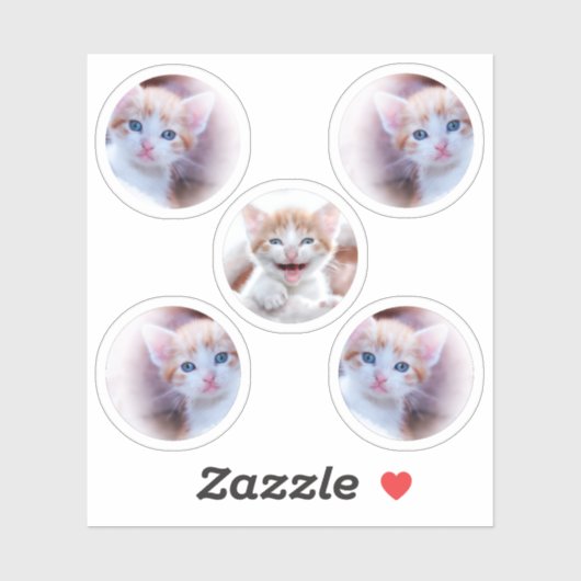 Set van vijf cirkelvormfoto's sticker (Vel)