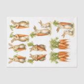 Set Whimsische Konijnenparen & Wortels DC1 Decoupa Tissuepapier (Voorkant)