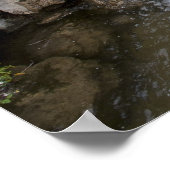 Setagaya Park Poster (Hoek)