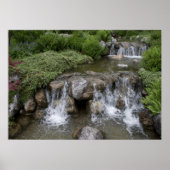 Setagaya Park Poster (Voorkant)