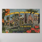 Setake, Florida - Grote Letter-scènes Poster (Voorkant)