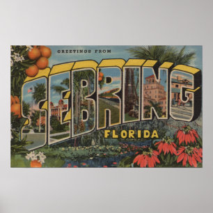 Setake, Florida - Grote Letter-scènes Poster