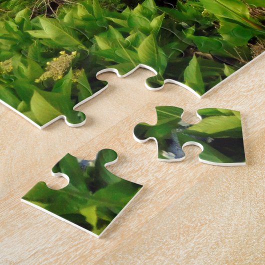 Sete Cidades Azore 11x14 Puzzle met Gift Box Legpuzzel (Zijkant)