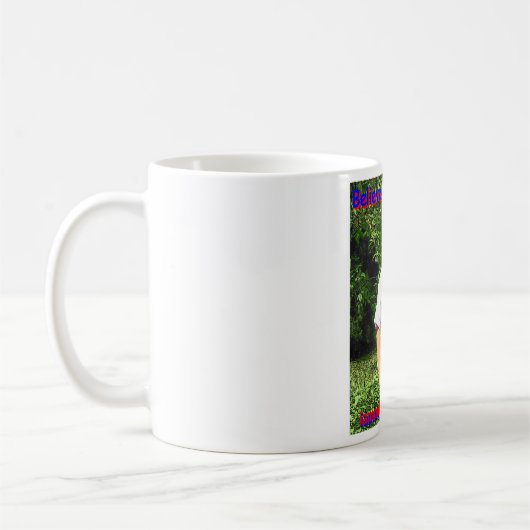 Seth Cartoon Mok (Links)