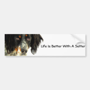 Setter Bumpersticker