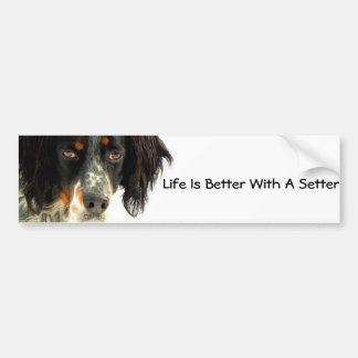 Setter Bumpersticker