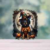Setter-hond Halloween-vierkant Acryl Bord (Neutraal)