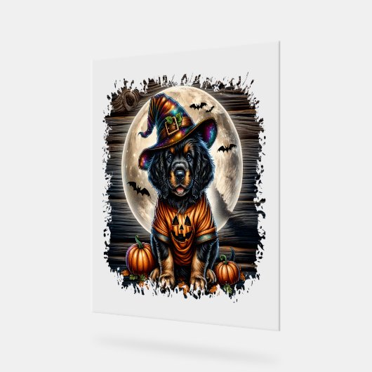 Setter-hond Halloween-vierkant Acryl Bord (Hoek)