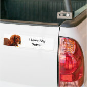 Setter Liefde Bumpersticker (Op Truck)