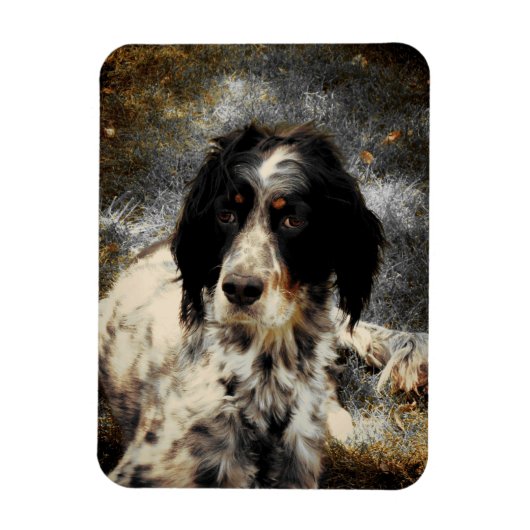 Setter Liefde Fotomagneet Magneet (Verticaal)