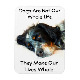 Setter Liefde Fotomagneet Magneet