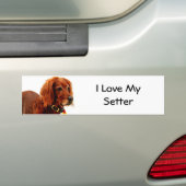 Setter Love Bumpersticker (Op auto)