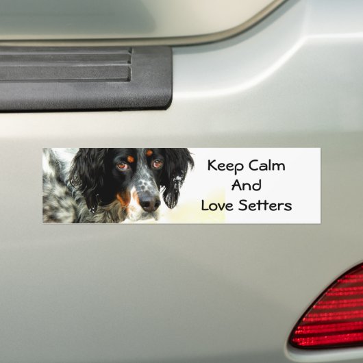 Setter Love Bumpersticker (Op auto)